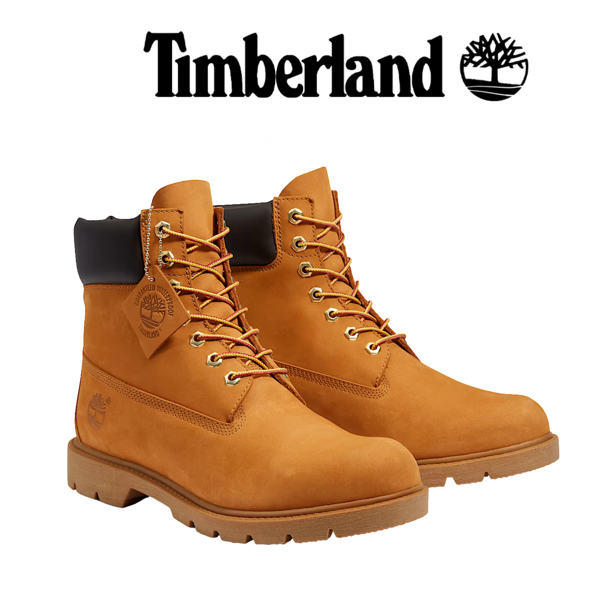 TIMBERLAND_TREE_Men_s_Classic_ 
