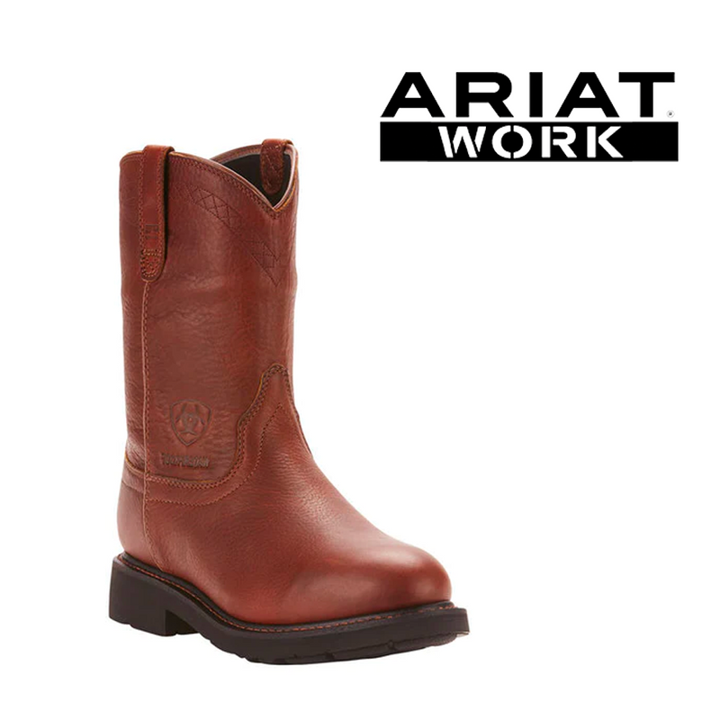 ARIAT Men's Sierra Waterproof 10 Inch 10002385