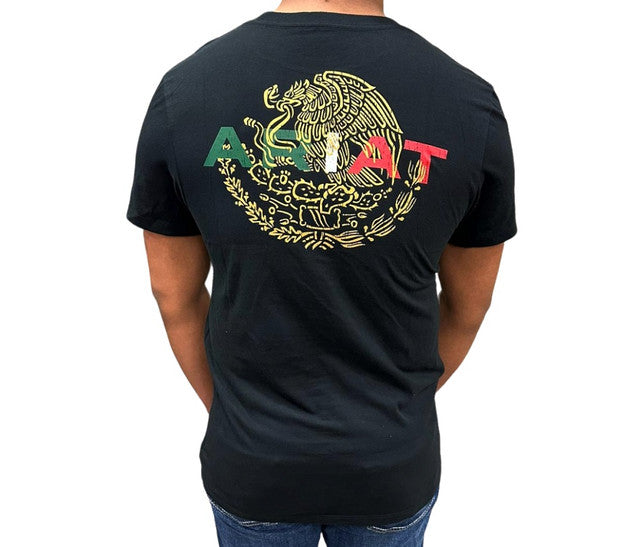 ARIAT Men's MEX FLAG LOCKUP IESMU SS T-Shirt 10051697