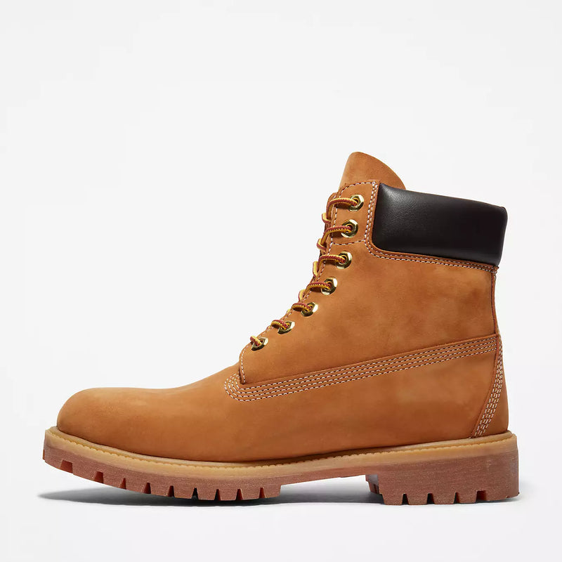 TIMBERLAND TREE Men's Premium 6 in Lace Waterproof TB110061713