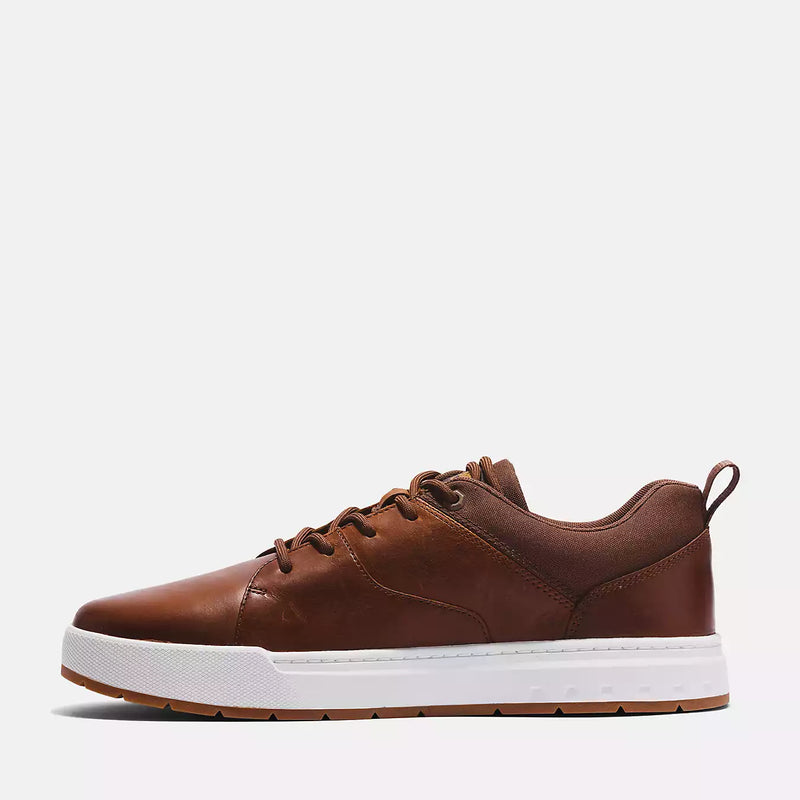TIMBERLAND TREE Men's Maple Grove Low Lace Sneaker TB0A5Z1S358