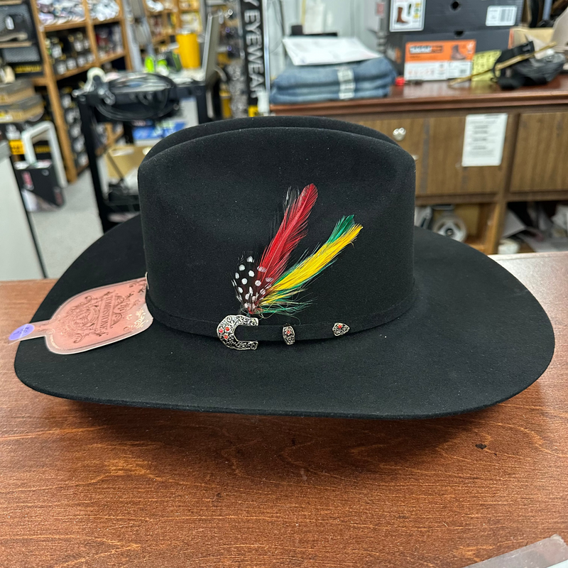 TOMBSTONE Men's 50X Chaparral Beaver Fur Cowboy Hat ,Black