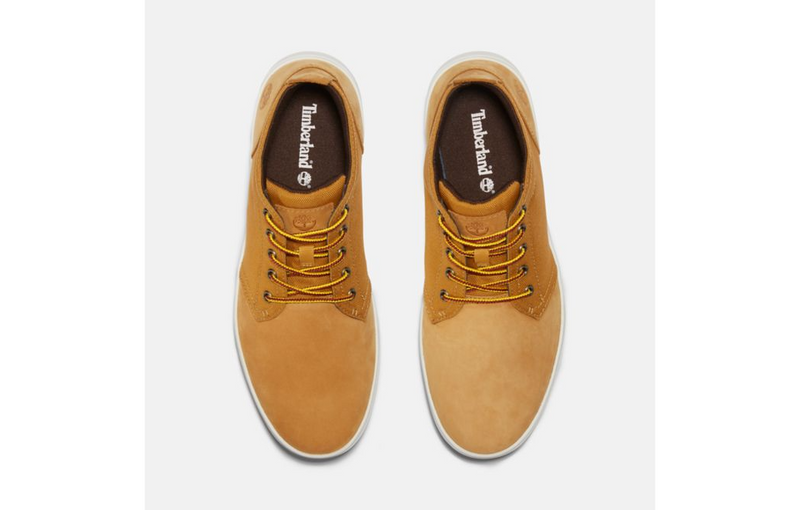 TIMBERLAND TREE Men's Davis Square Sneaker TB1A10I3231