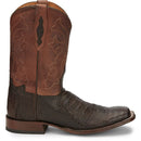 TONY LAMA Men's Canyon 11 Inch Genuine Caiman Belly Tail, Brown
