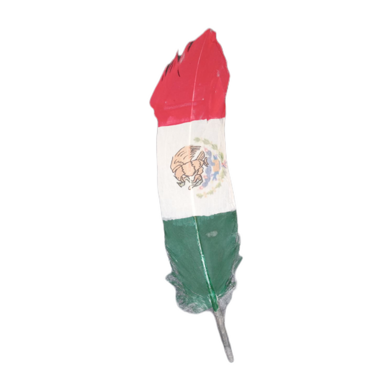 EL GENERAL Hat Feather Mexico Flag 42037