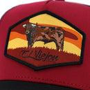 EL VIEJON Semental AVC Cap, Charcoal, Maroon