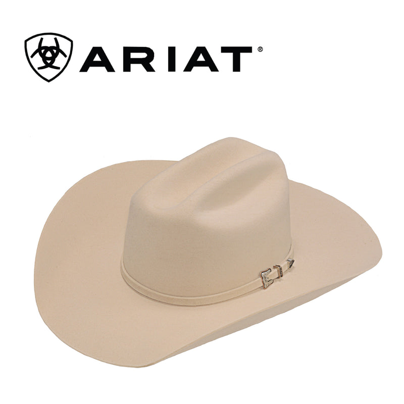 ARIAT Men's 10X Hat Crown 4- 1/4 Brim 4-1/4 A7640045