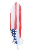 EL GENERAL Hat Feather USA Flag 42038