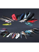 EL GENERAL Peacock Feather hand painted 42048