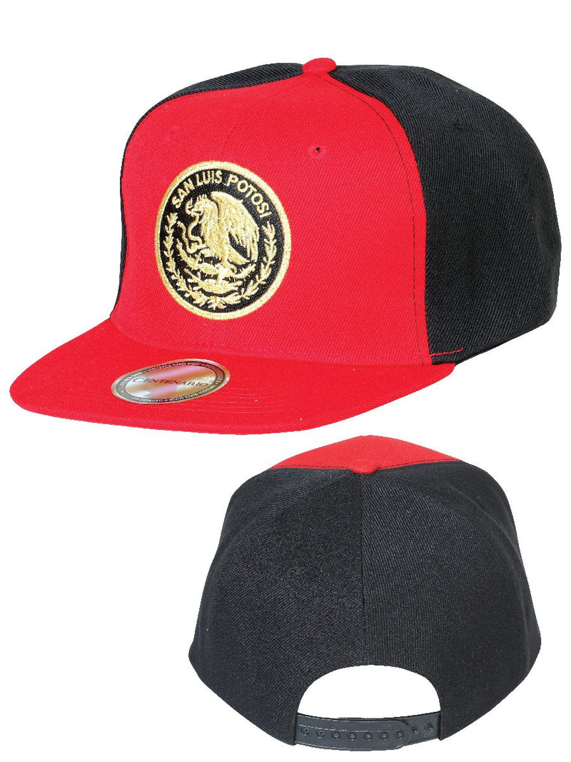 SAN LUIS POTOSI Cap 042673