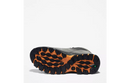 Botas de senderismo impermeables de media caña TIMBERLAND TREE MT. Maddsen para hombre TB1A258X033